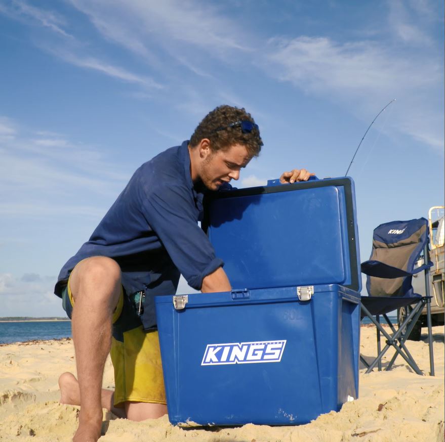 Best portable car fridge - Kings 60L Fridge/Freezer - image Capture-43 on https://news.emgcloud.net/news