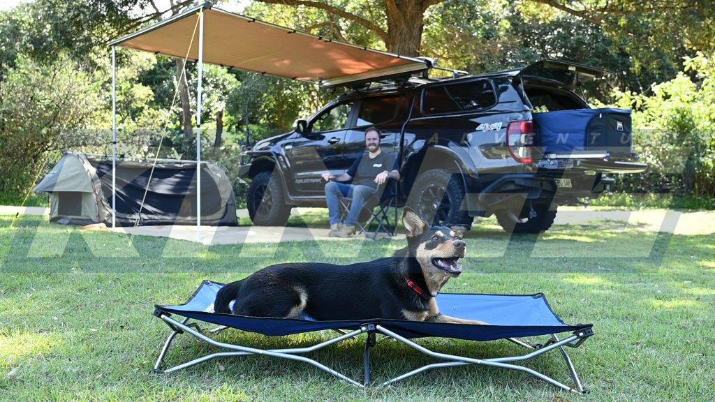 Everything You Should Know Before You Buy A Roofrack! - image Pet-Bed-Lifestyle on https://news.emgcloud.net/news