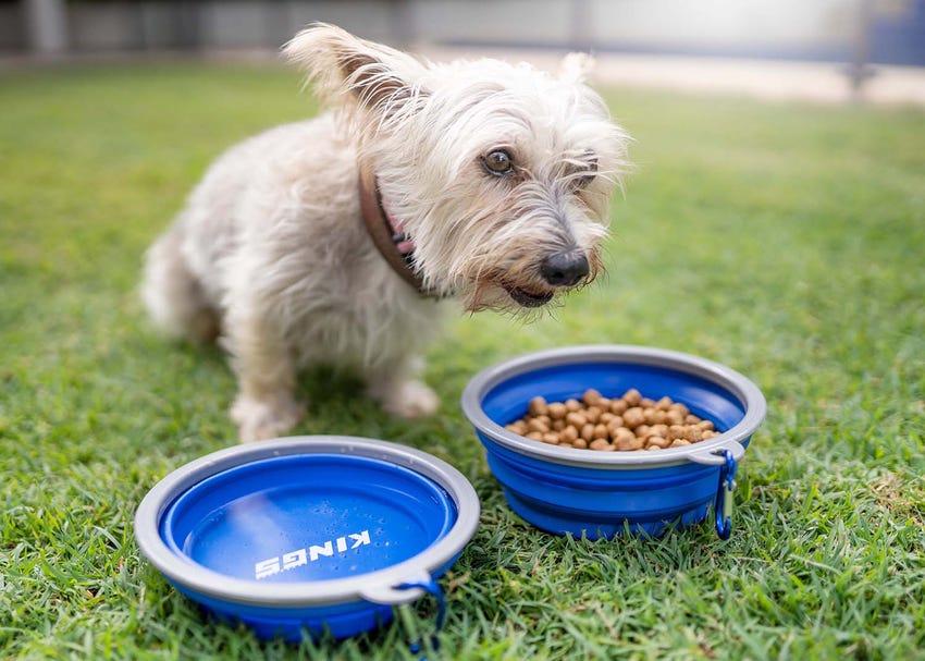 The Benefit of Battery Boxes - image akac-dogbowl_01_img2-1 on https://news.emgcloud.net/news